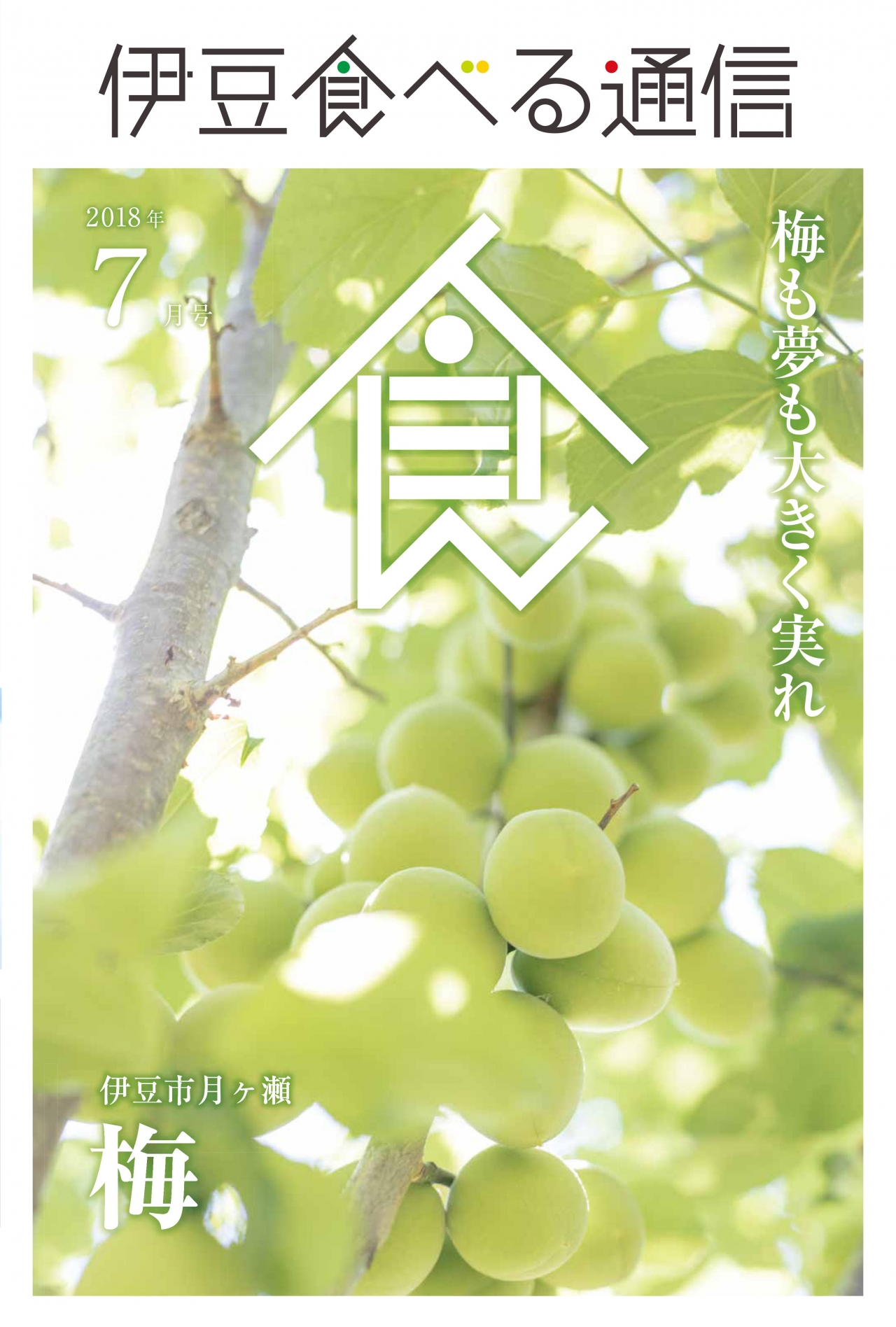 伊豆食べる通信2018年7月号「梅」