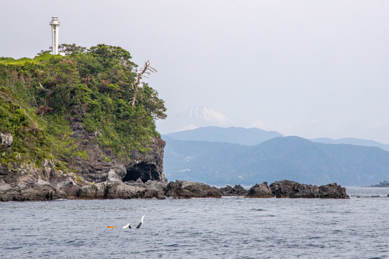 川奈の漁場。遠くに富士山が見える。