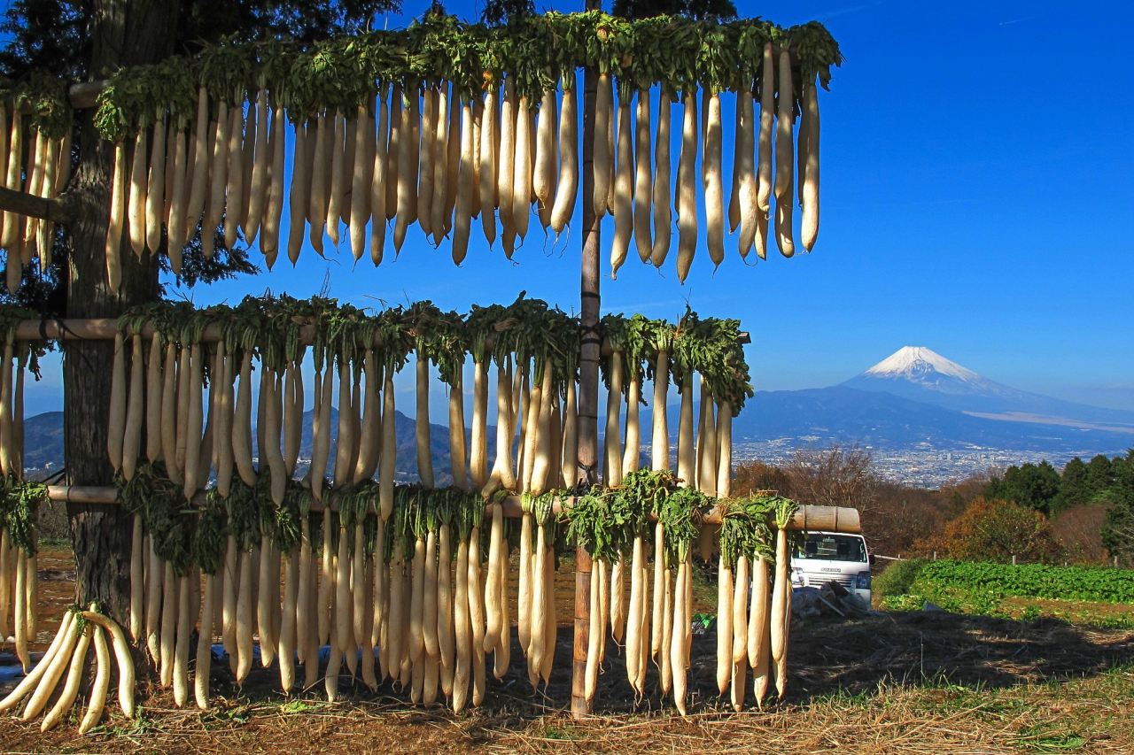 P8　田中山たくあん