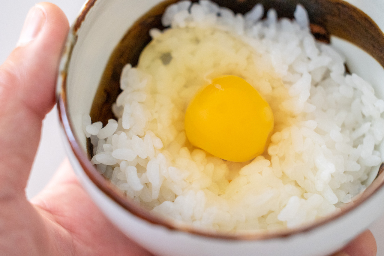 下田ブルーの卵かけごはん